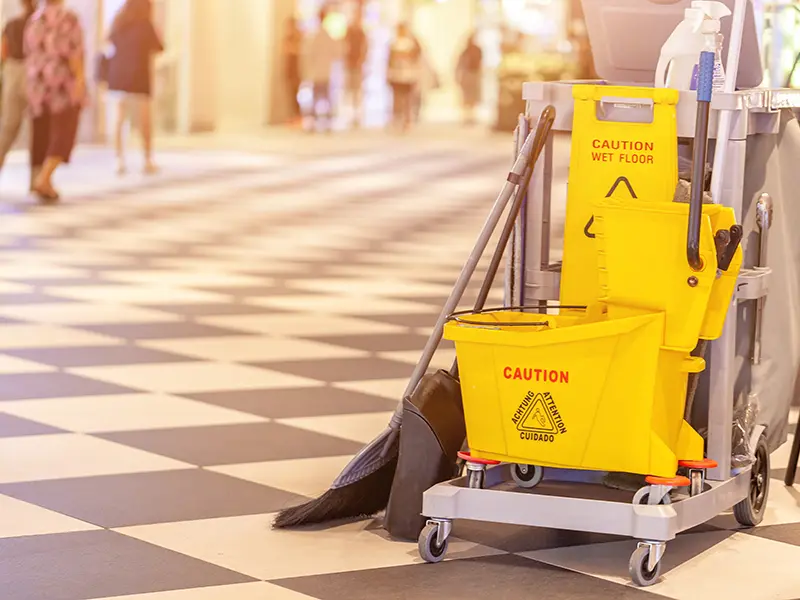 Gallery Thumbnail 21